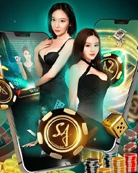 บาคาร่า